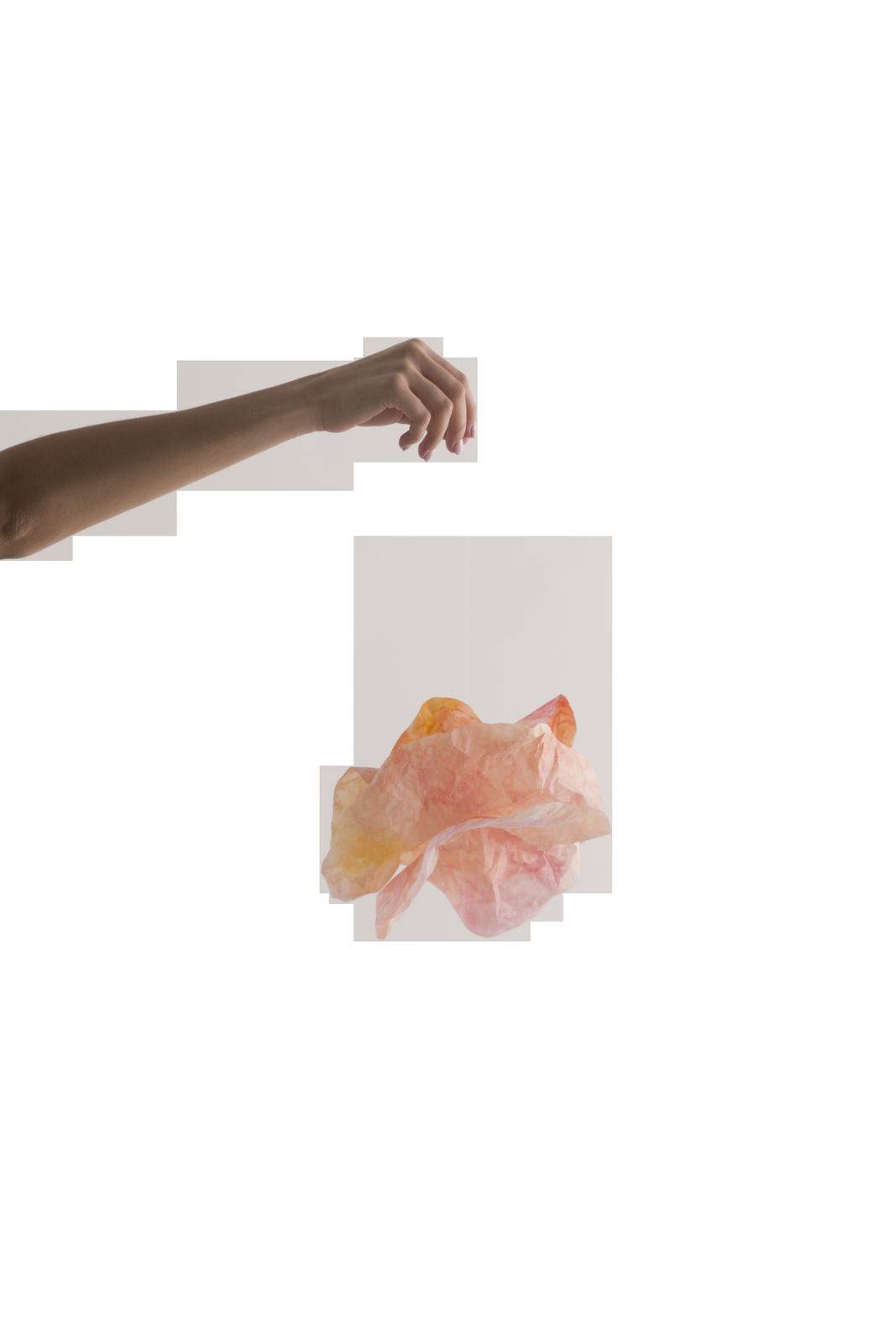 Raima — fotografía 4